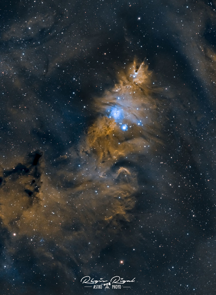 NGC2264-pixinsight-hoo.jpg